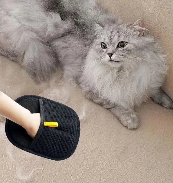 FurSwipe™ - Pet Hair Removal